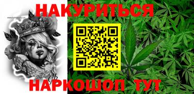 прущие грибы Краснодар