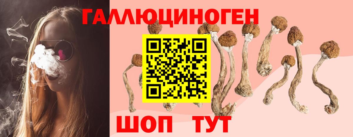 цены   Галлюциногенные грибы GOLDEN TEACHER  Вход с VPN  Каменка 