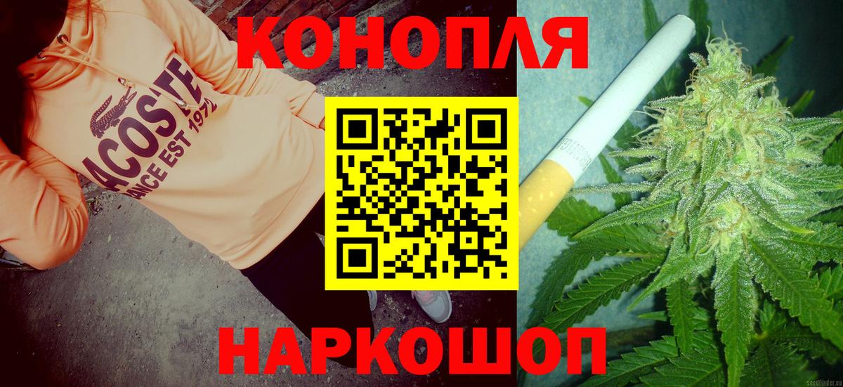 Бошки марихуана ГИДРОПОН Каменка